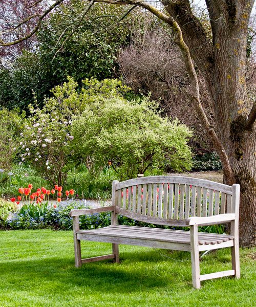 bench bench
